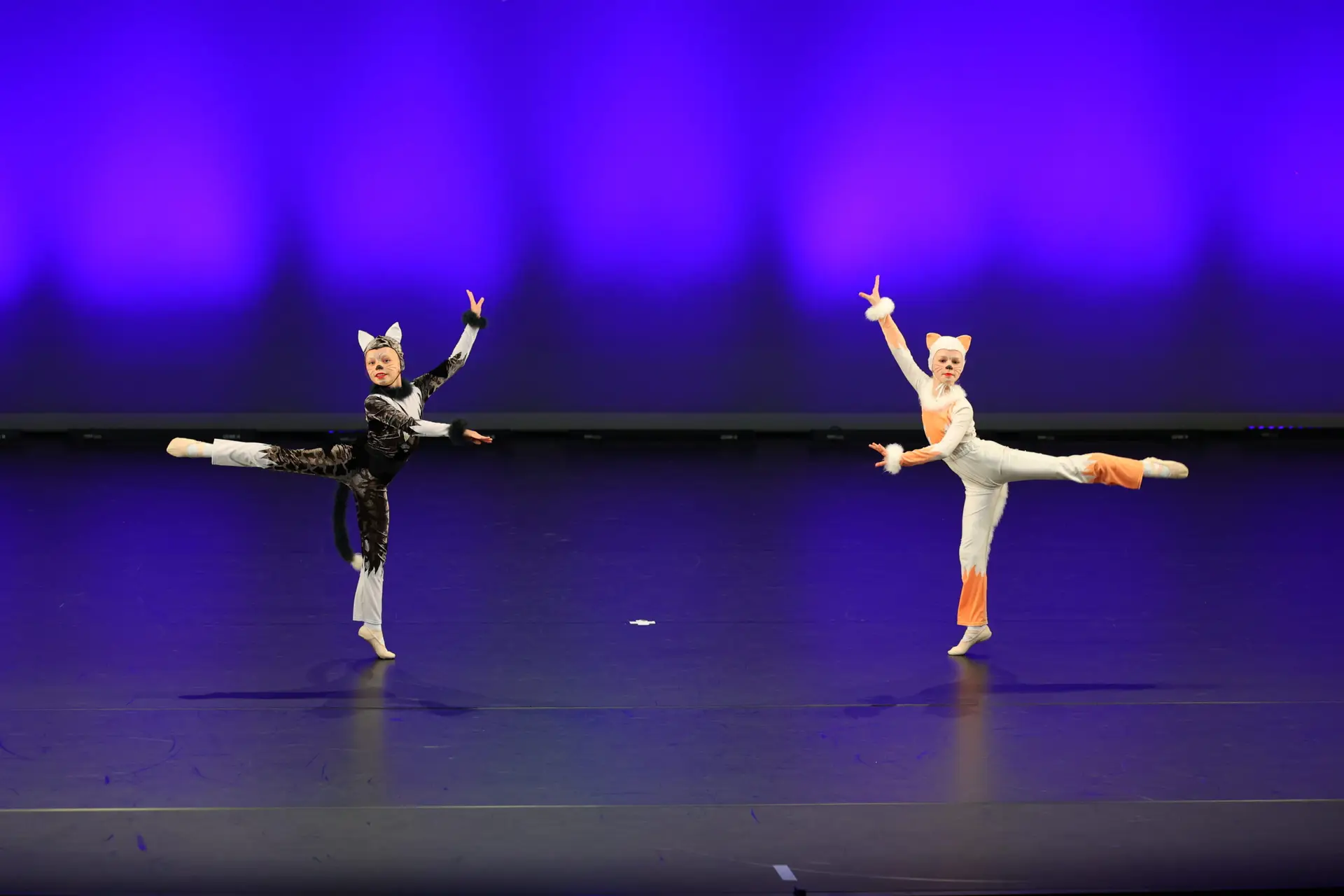 077A2588 (1) 077A2588 (1)